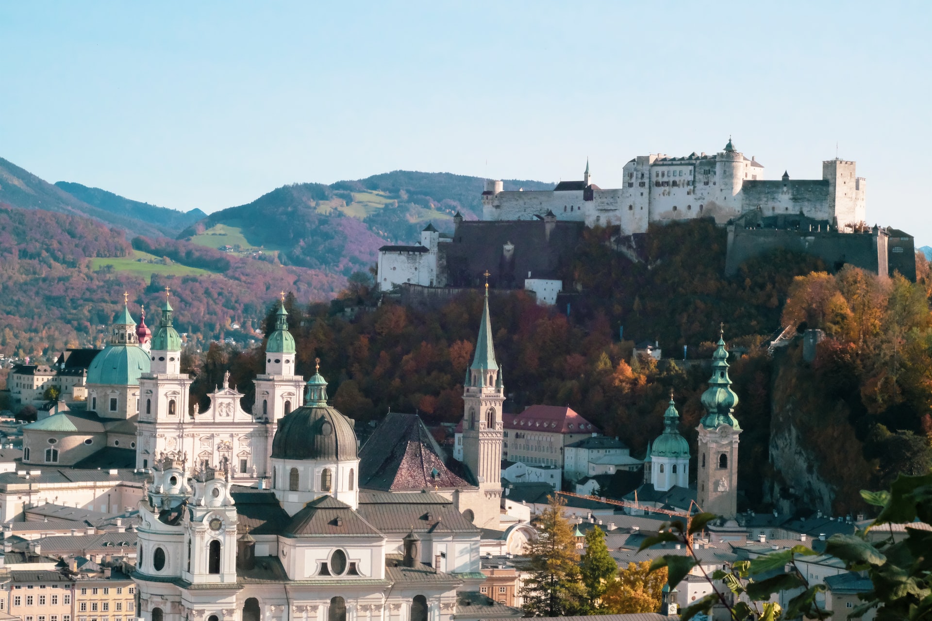 production coordinator austria